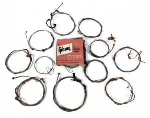 Pete Townshend Tour Used Guitar Strings