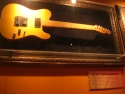 Click to view detail – Gold Schecter – display